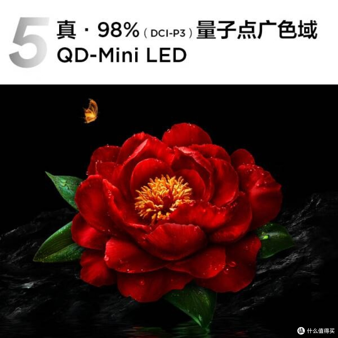TCL 98Q10L电视:万象分区与XDR5000nits表现