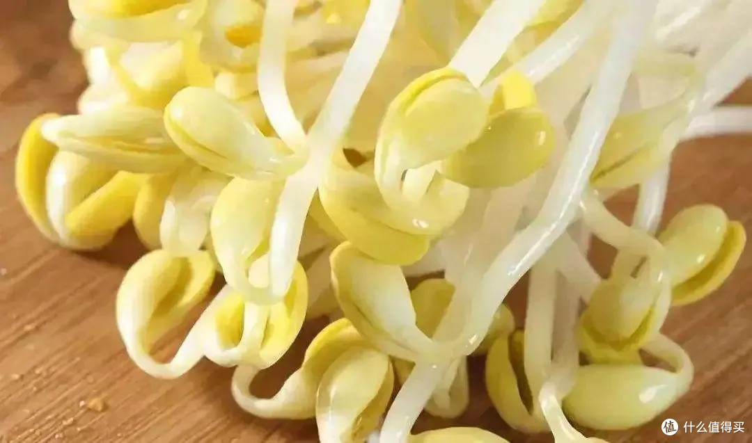 春吃豆芽，鲜掉眉毛的值买好物