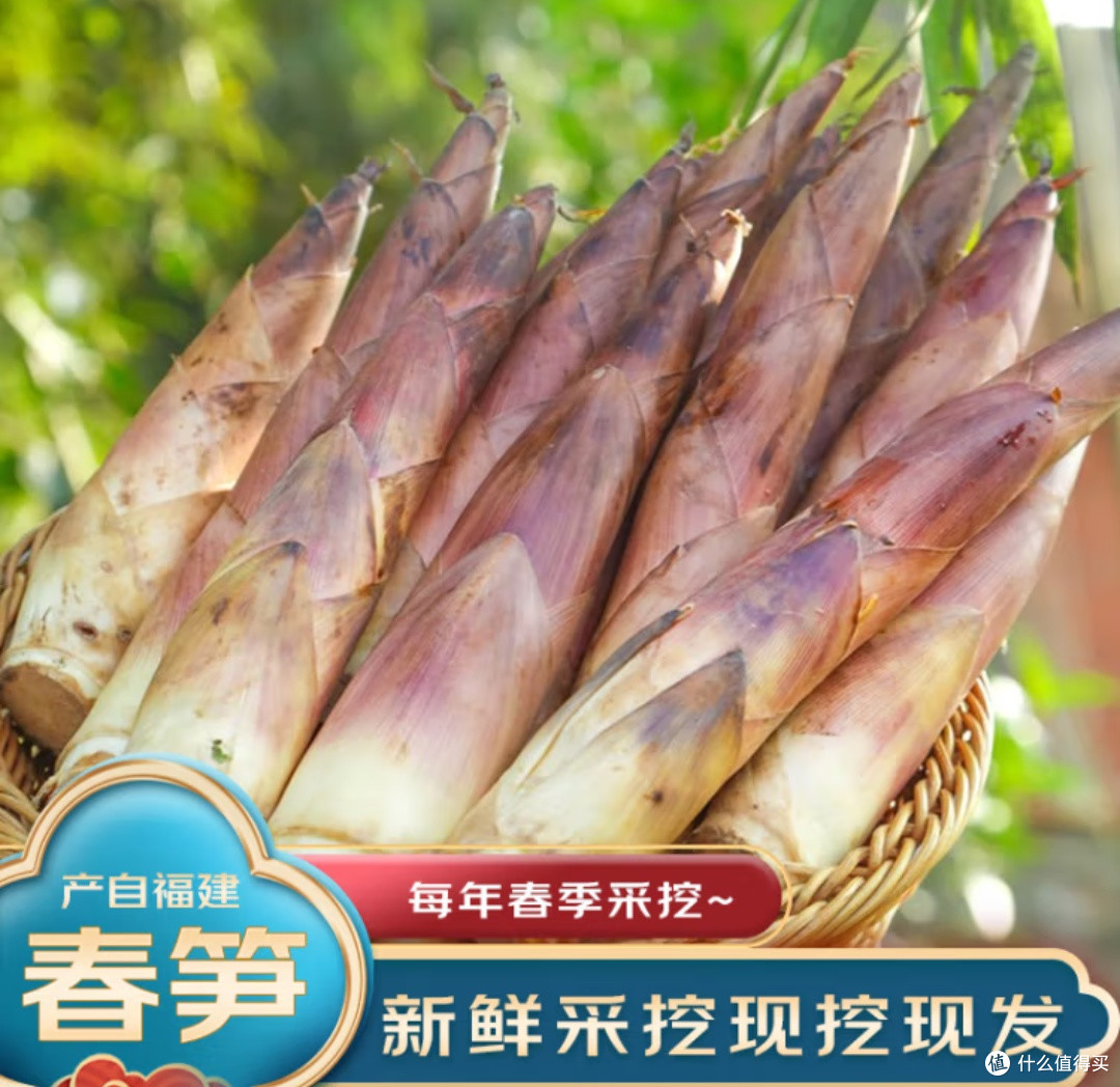 春日尝鲜记——解锁春笋的鲜美秘密,品尝最地道的春季限定美食!
