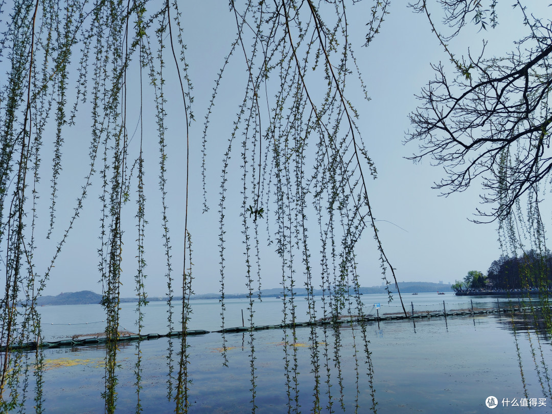 周末武汉亲子游终极攻略：樱花雨、轮渡风与舌尖上的江湖