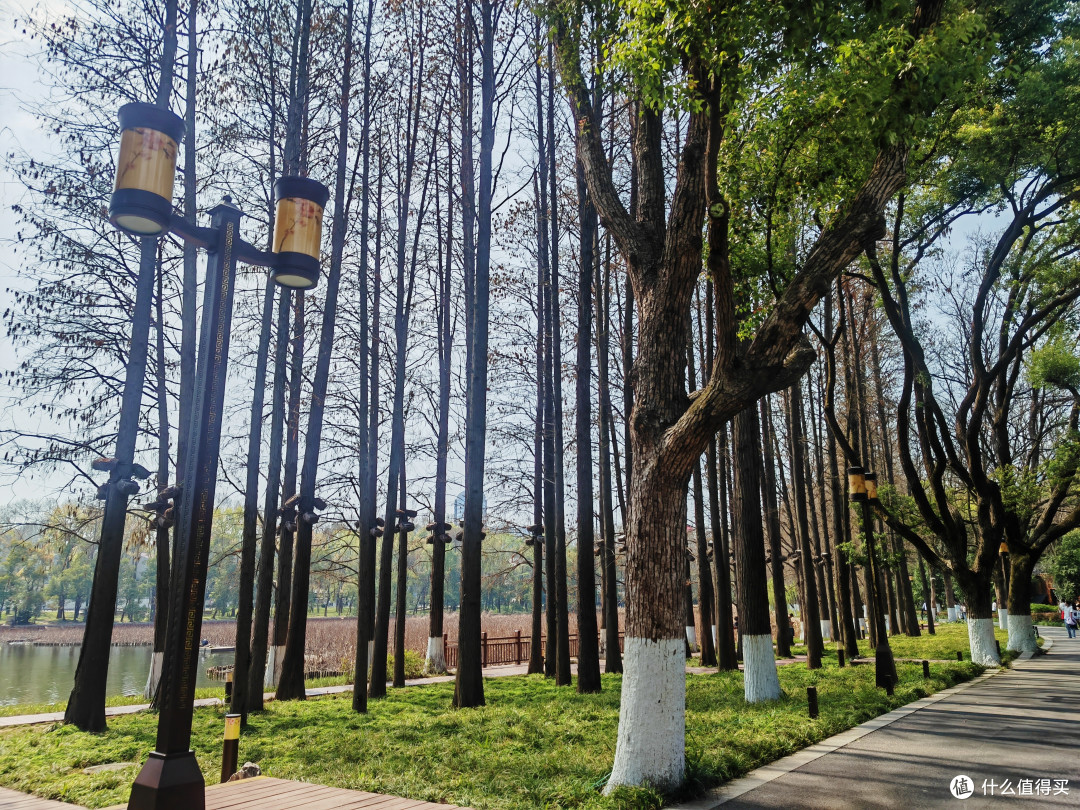 周末武汉亲子游终极攻略：樱花雨、轮渡风与舌尖上的江湖
