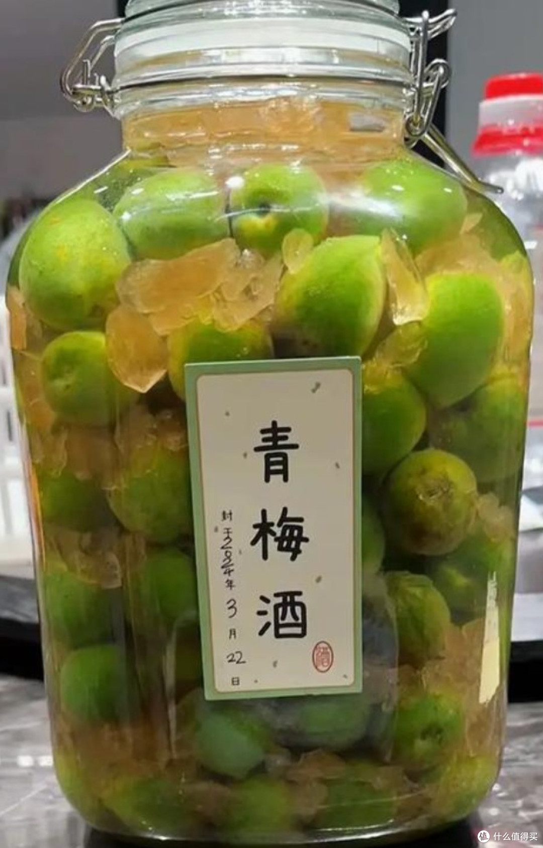 氛围春饮之春日饮事