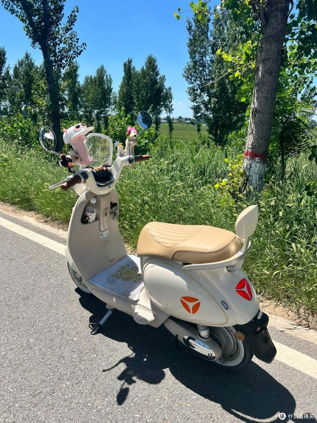 从两轮奔赴到四轮驰骋:我的通勤装备进阶之路与感悟