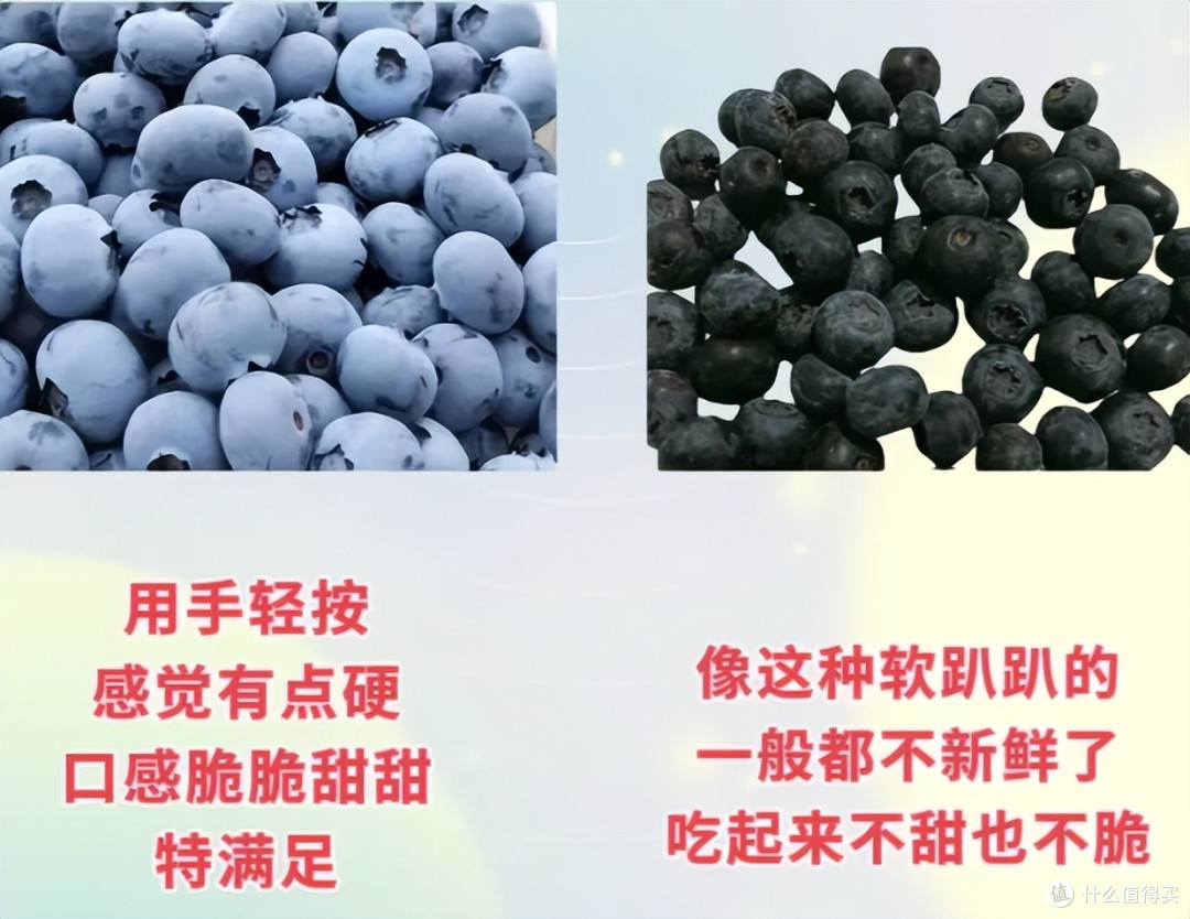 一颗蓝莓等于75个苹果?