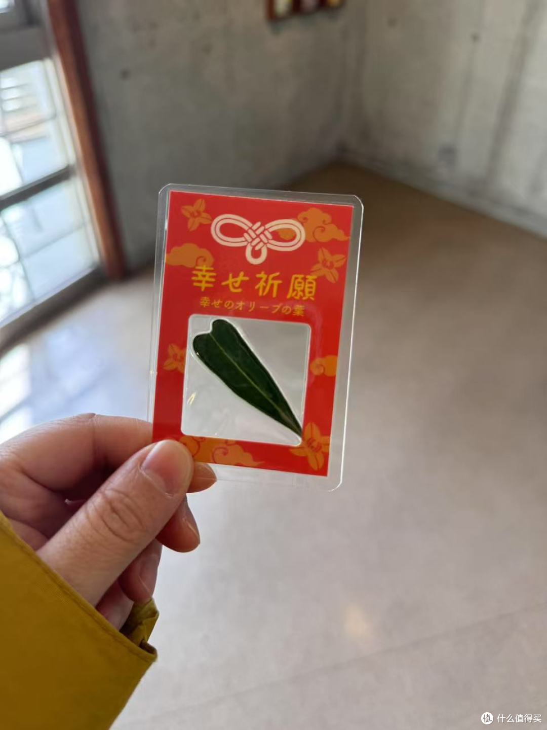 699往返日本!吃喝玩乐一站式体验,还要什么自行车!