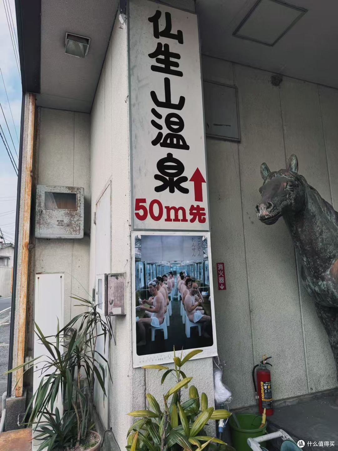 699往返日本!吃喝玩乐一站式体验,还要什么自行车!
