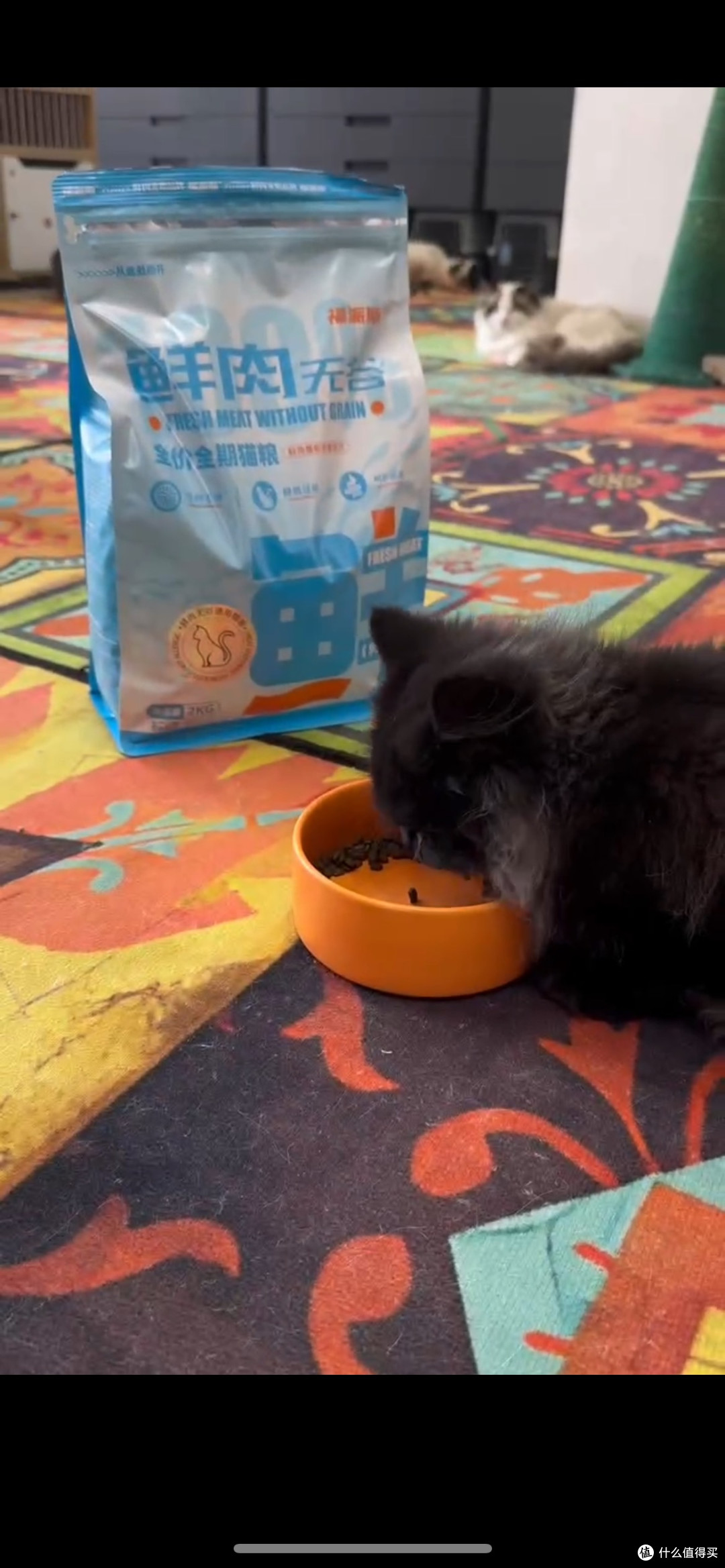 🐾【福派斯鲜肉无谷猫粮】让猫咪从此爱上干饭!