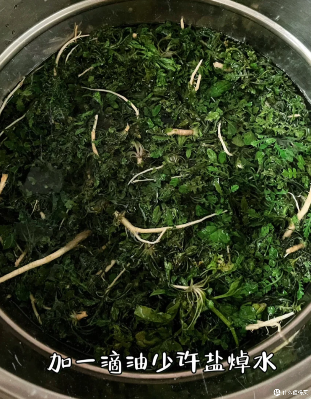 春季养生大揭秘:荠菜鸡蛋水饺,吃了真的养生吗?