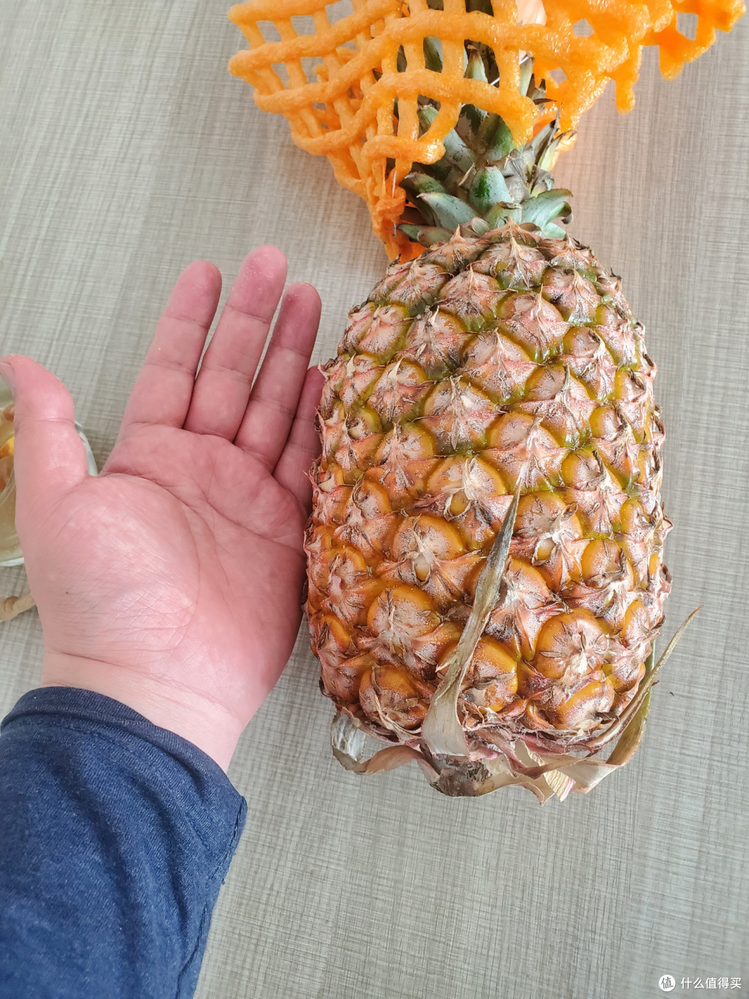 金钻凤梨