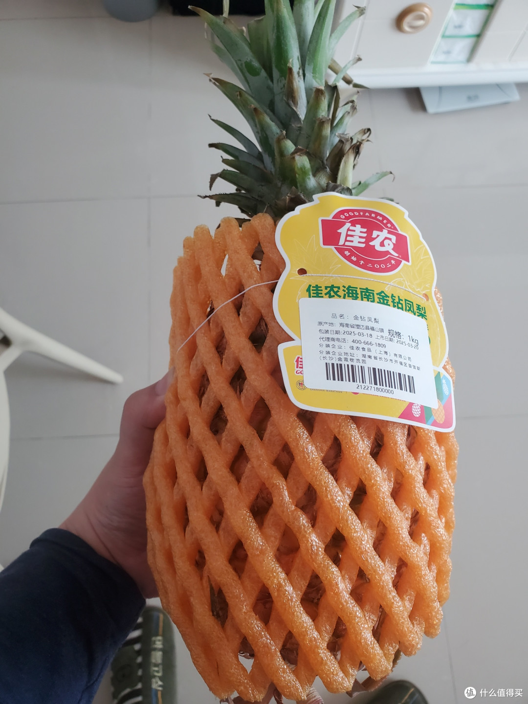 金钻凤梨