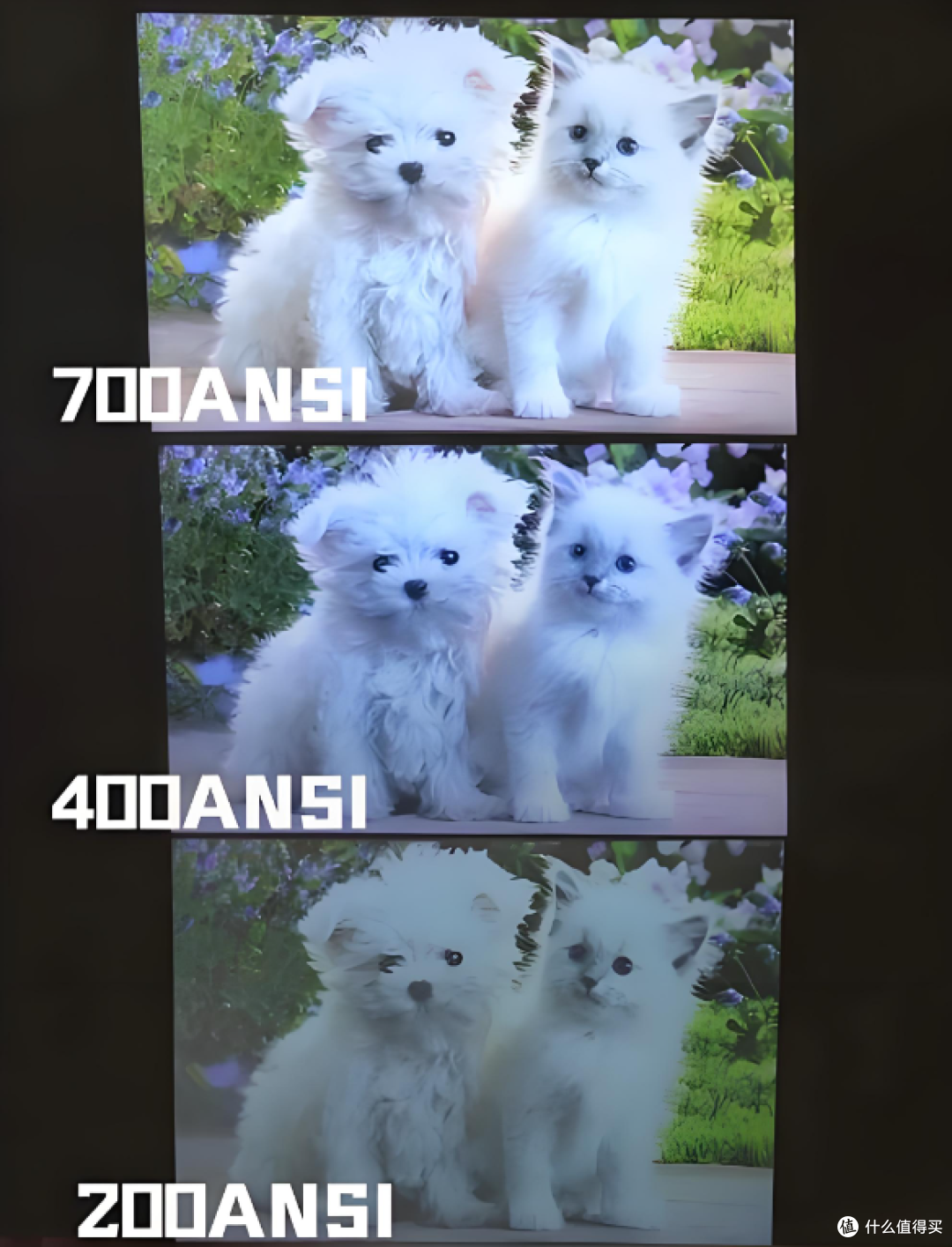 投影仪性价比品牌怎么选?当贝X5S Pro质价比TOP1