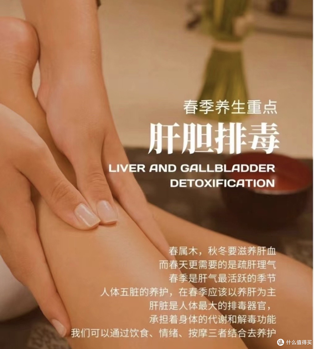 春季养生谣言揭秘:这些“常识”真的科学吗?