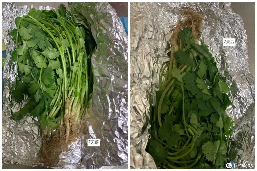 现在的年轻人也太聪明了吧,几块钱的锡纸,硬是用成了家居神器!