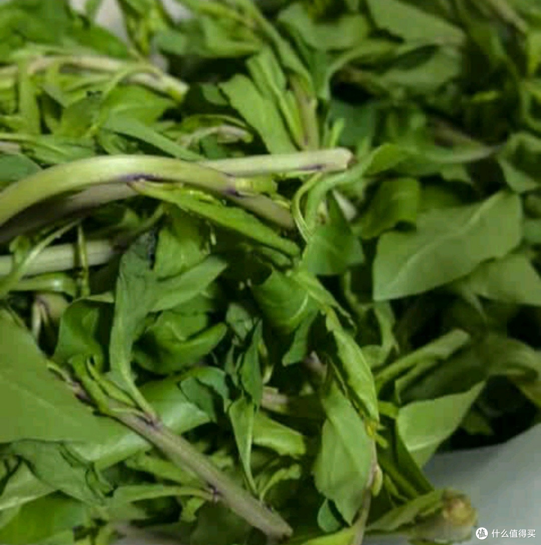 🌱山间果好!广西农家新鲜枸杞嫩芽,春天里的绿色宝藏2斤速发
