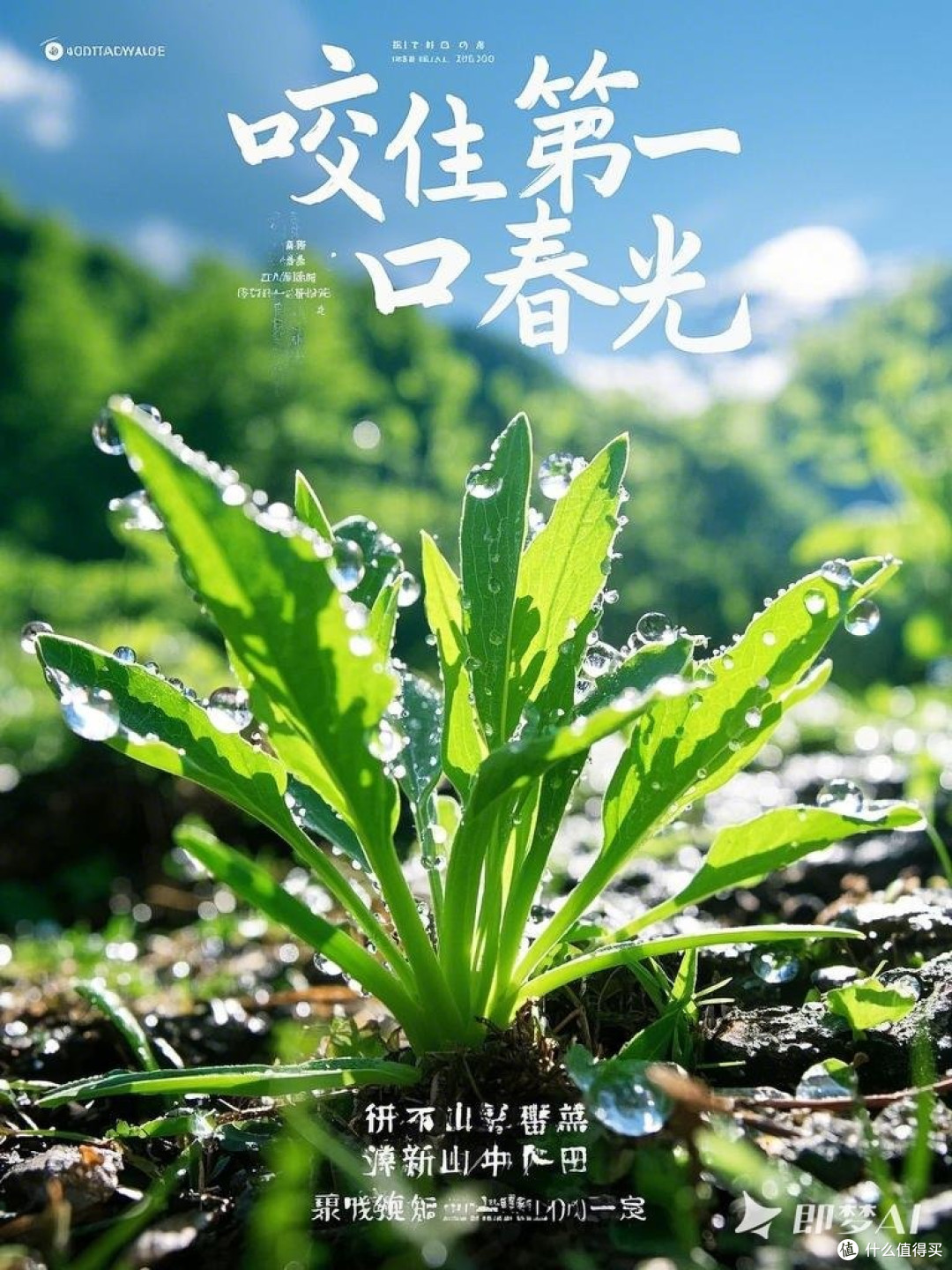 静心养身,从这里开始