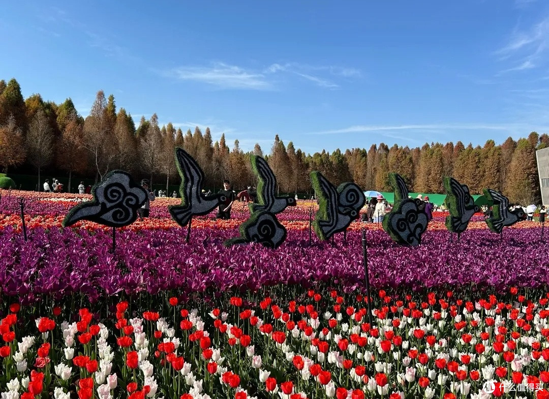 捞鱼河：踏春赏花，奔赴浪漫花路