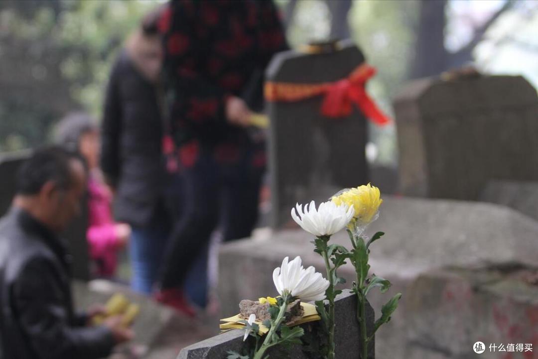 清明节上坟祭祖,牢记“1不放,2不烧,3不做”,老祖宗规矩要懂