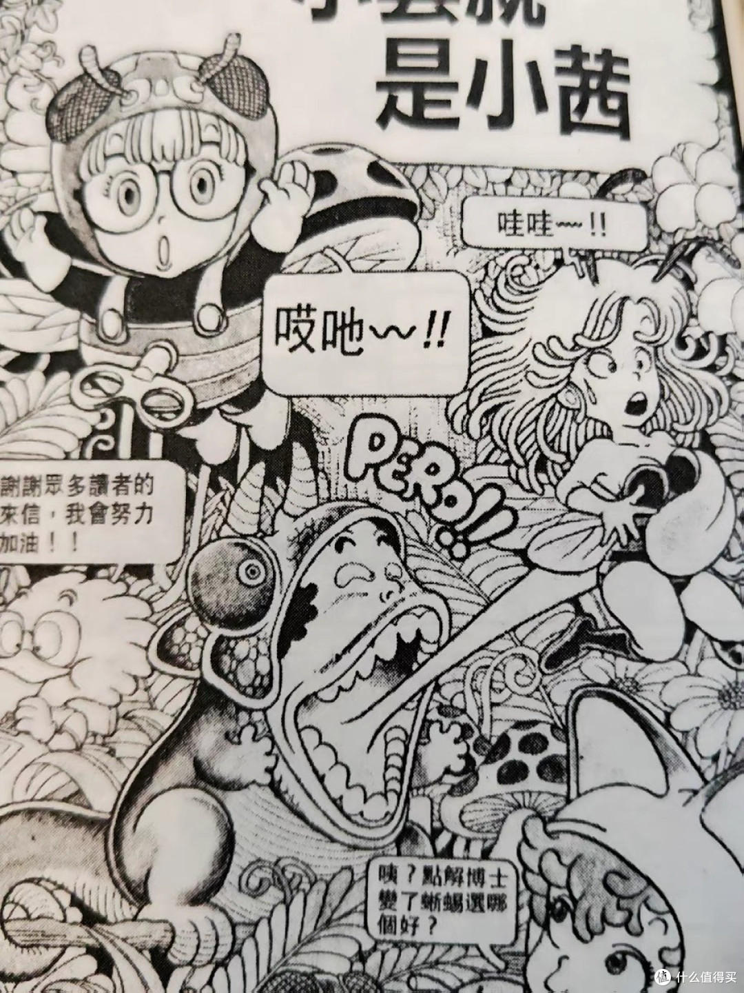 阿拉蕾：纯真与奇幻交织的童年宝藏
