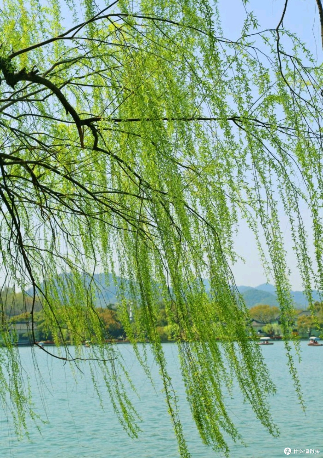 春日西湖：诗画江南，梦回千年