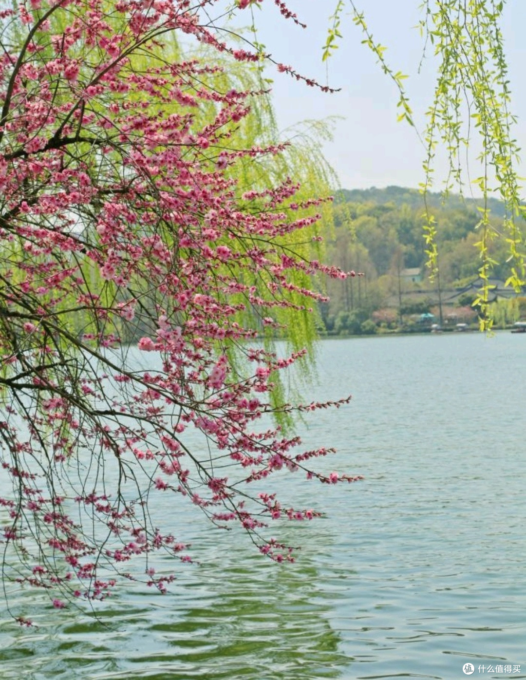 春日西湖：诗画江南，梦回千年