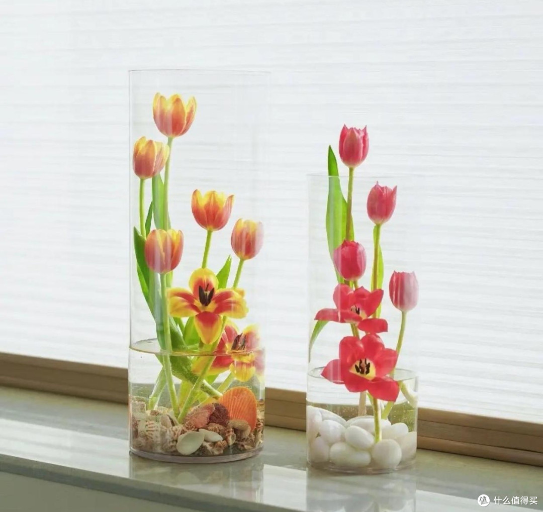 🌷郁金香:世界花后,传递爱的花语💐