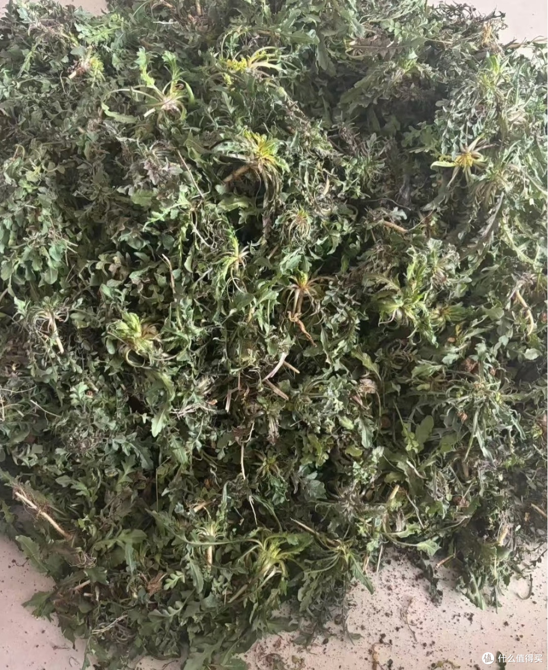 春日轻食新宠！清爽可口的荠菜豆腐汤