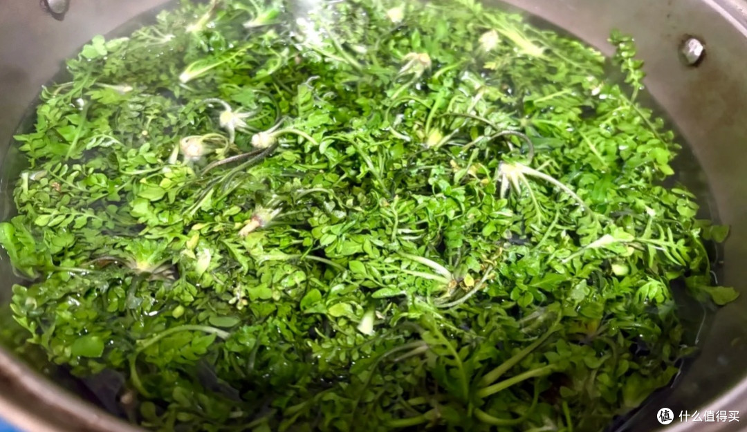 春日轻食新宠！清爽可口的荠菜豆腐汤
