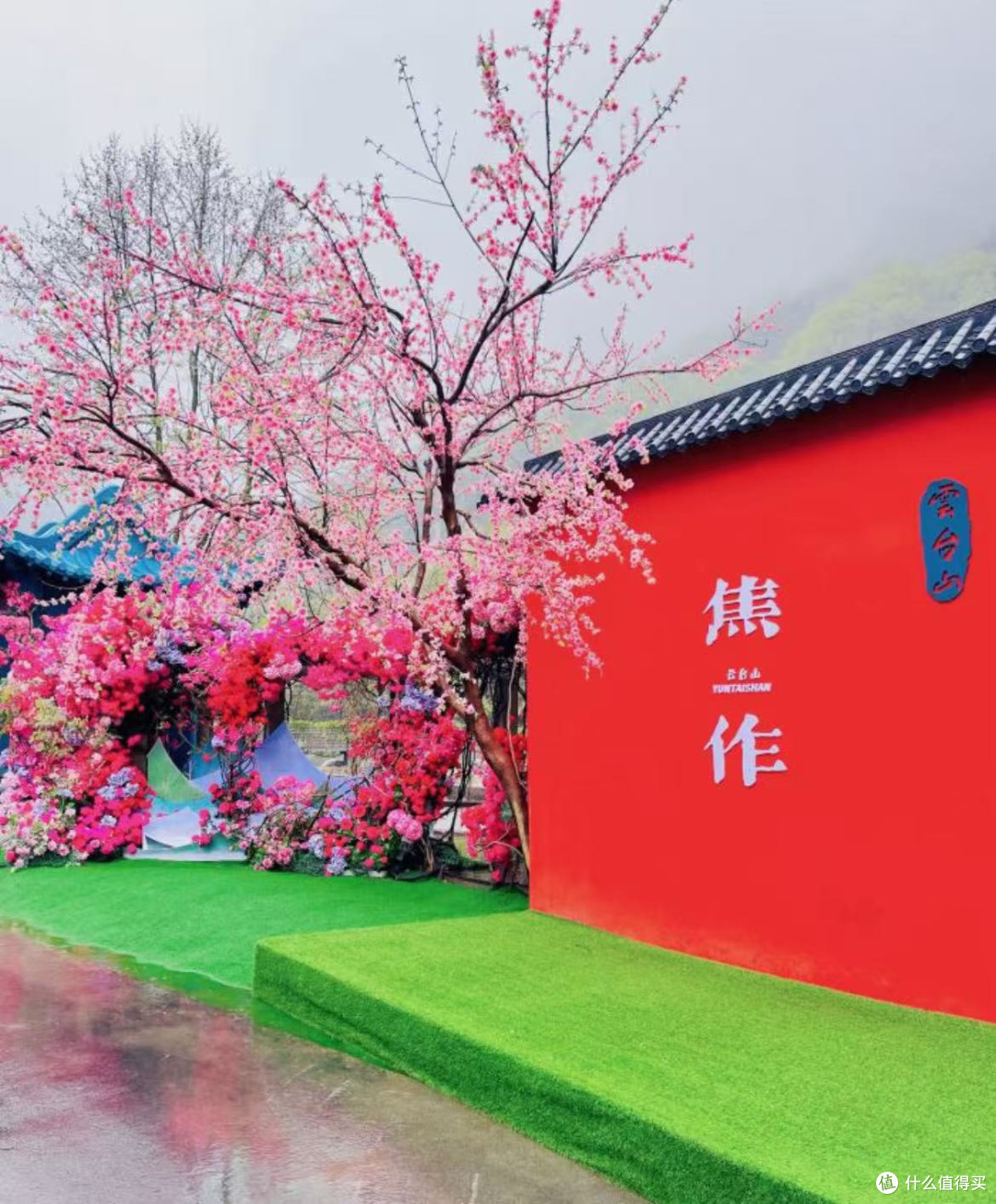赏花,是一种生活情趣!