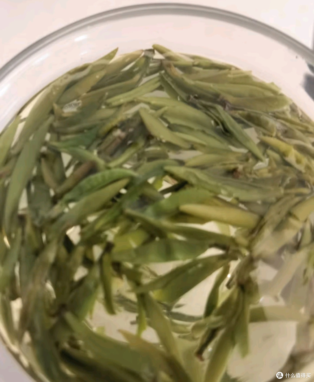 竹叶青绿茶 峨眉山特级50g 2025新茶自己喝明前茶罐装15003