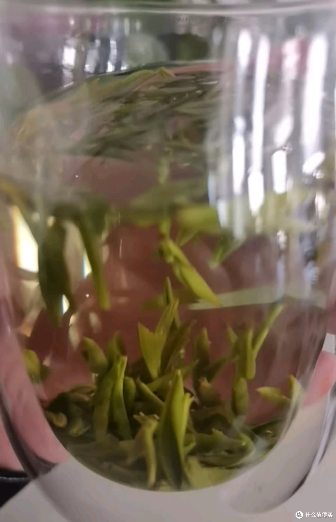 竹叶青绿茶 峨眉山特级50g 2025新茶自己喝明前茶罐装15003
