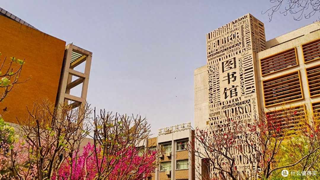 最美校园行,在北京外国语大学寻春天的气息