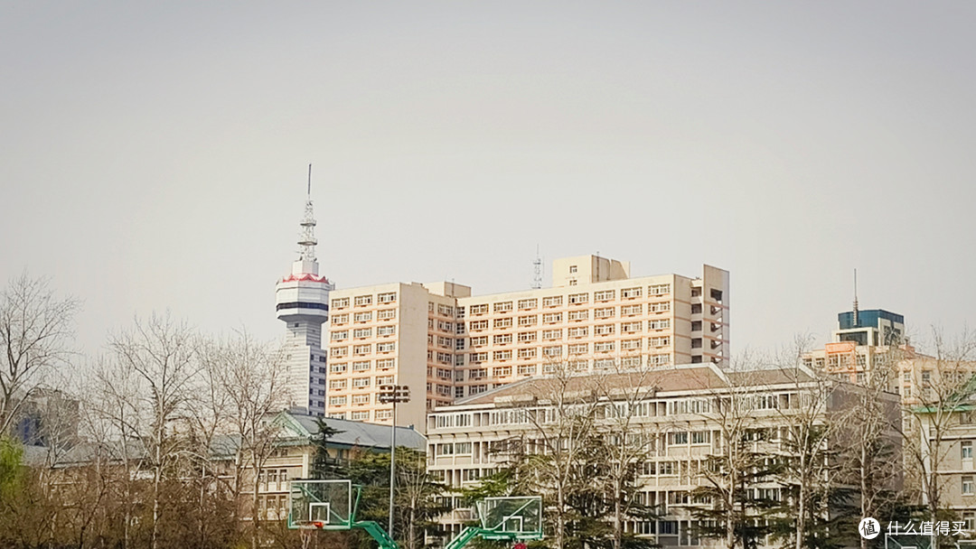 最美校园行,在北京外国语大学寻春天的气息
