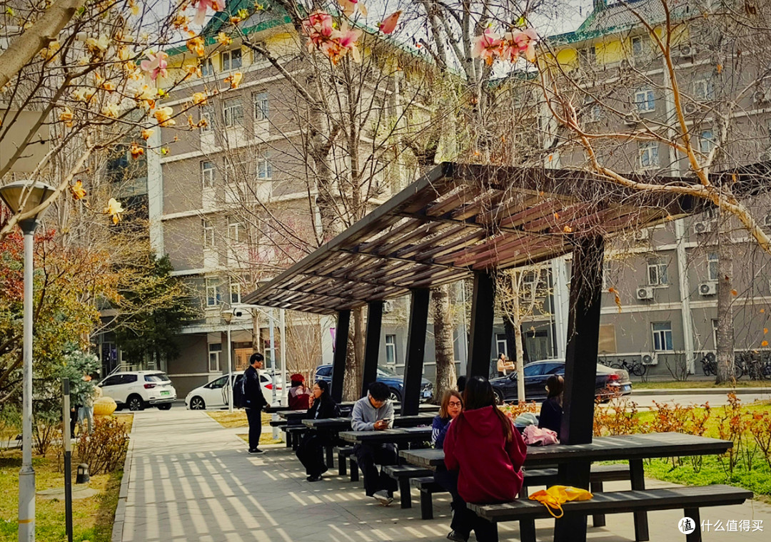 最美校园行,在北京外国语大学寻春天的气息