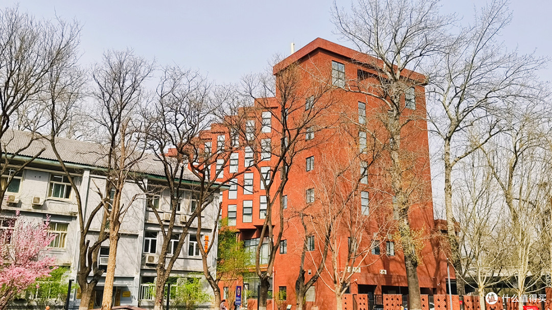 最美校园行,在北京外国语大学寻春天的气息