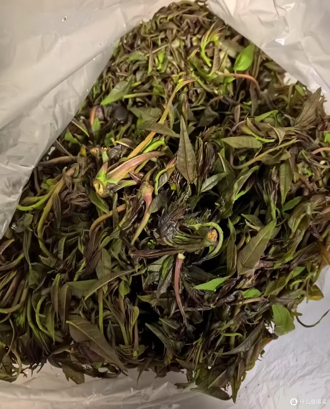 春日里的清新滋味：香椿炒鸡蛋