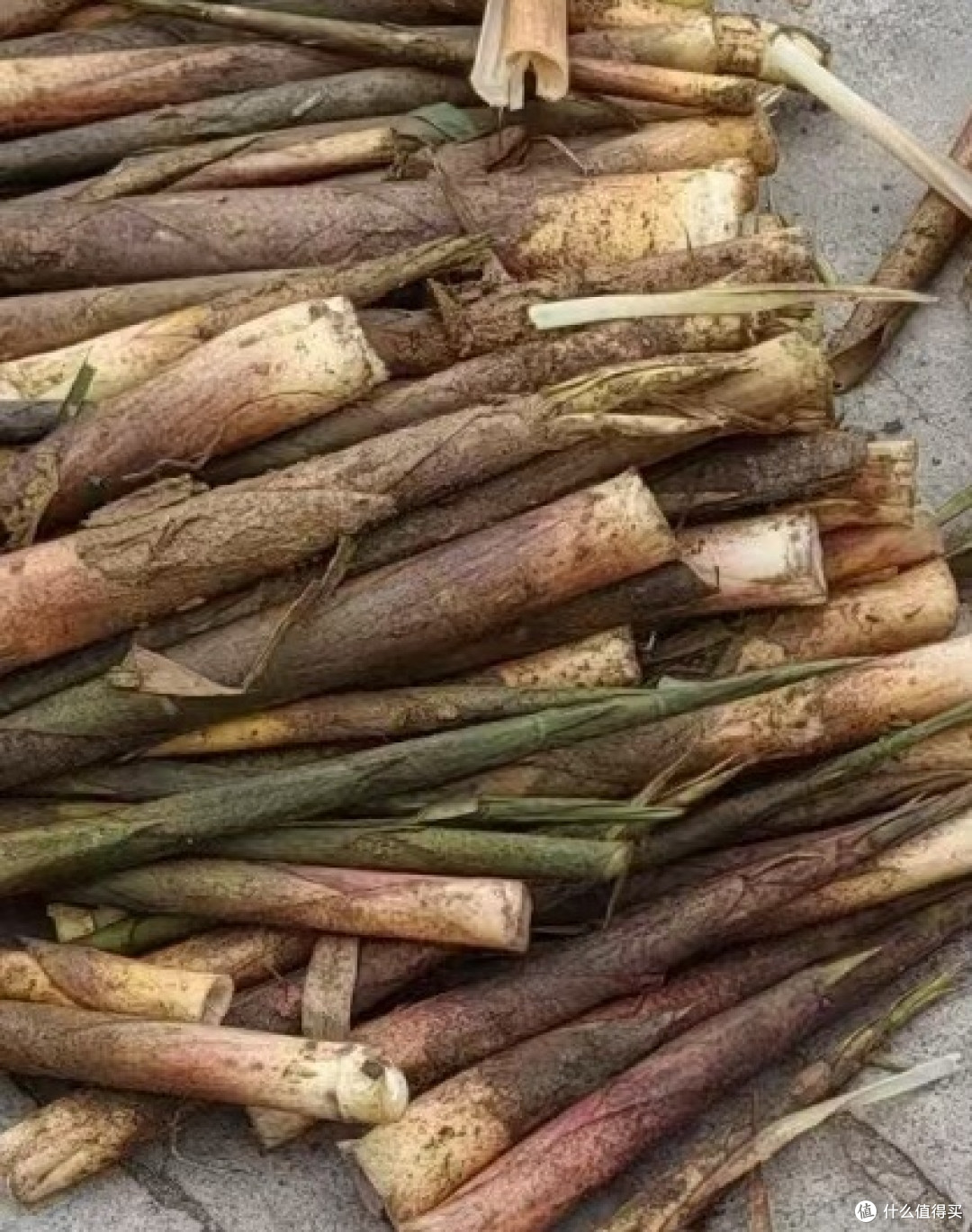 竹笋鲜嫩,你尝过了吗?