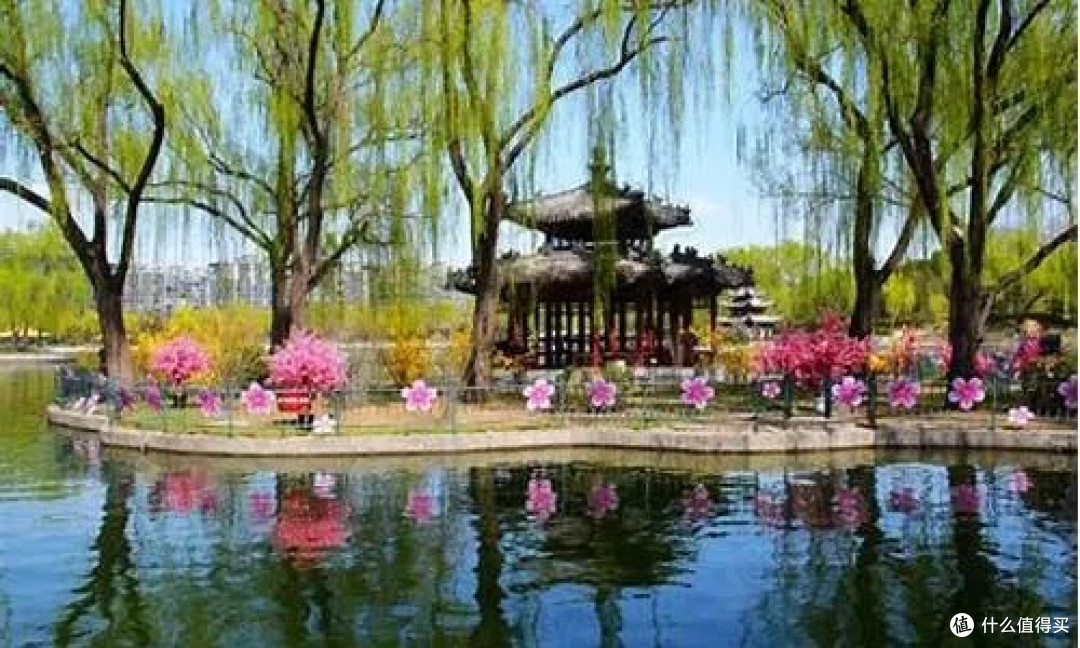 陶然亭春日花事：海棠盛宴与历史文脉的诗意交融