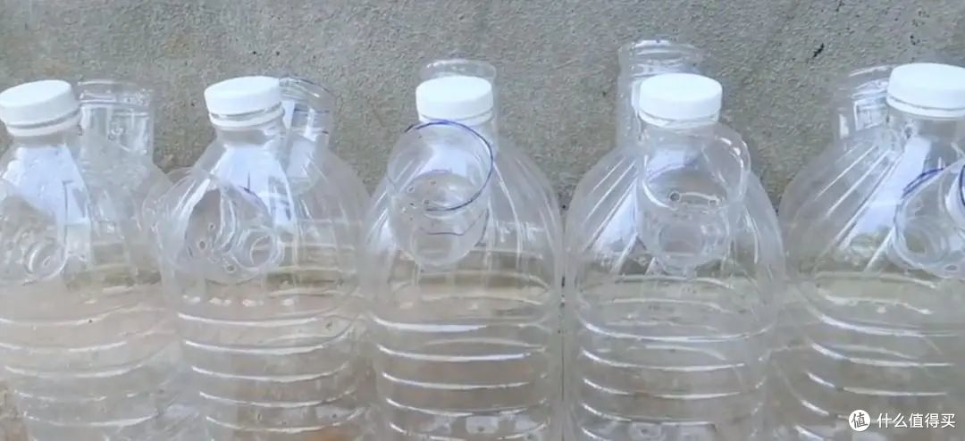 小伙子在家用矿泉水瓶种辣椒，5棵收获30斤，全家人一年都吃不完