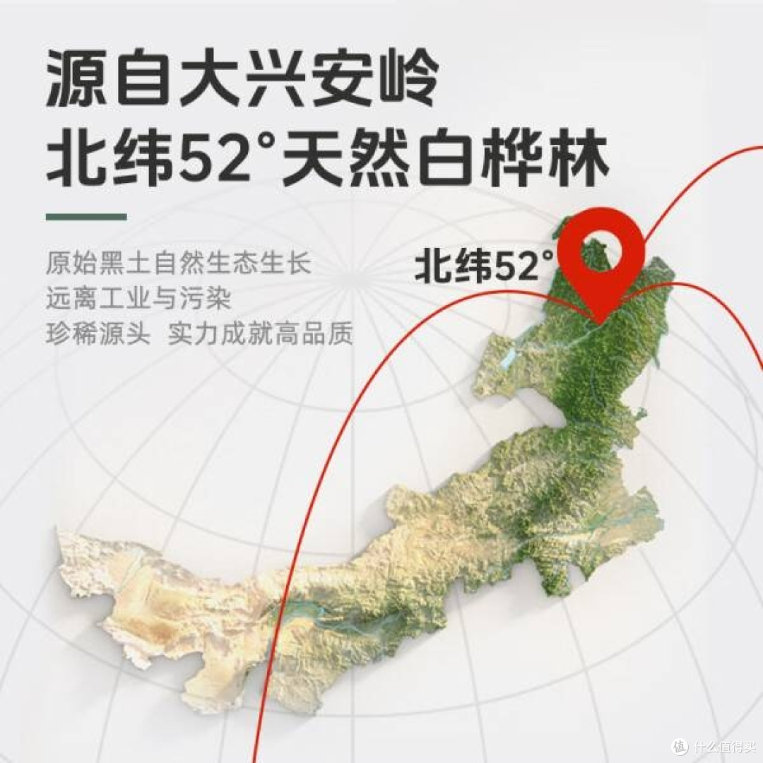 轻上100%白桦树汁NFC:来自大兴安岭的纯净之饮