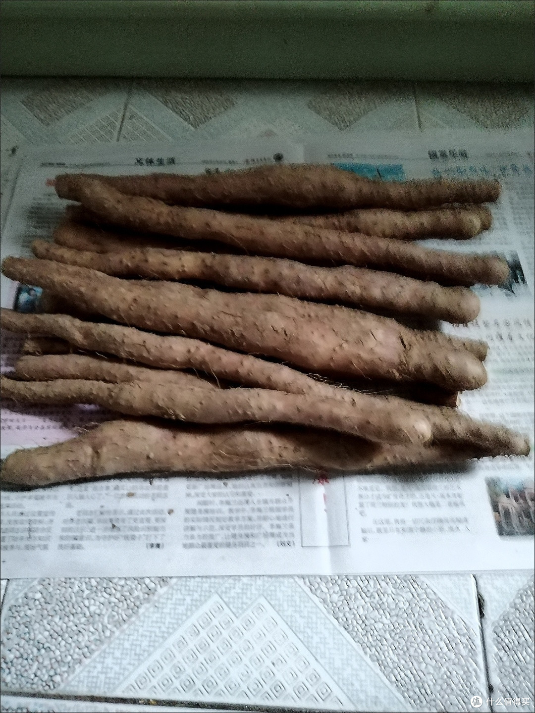 铁棍山药怎么选