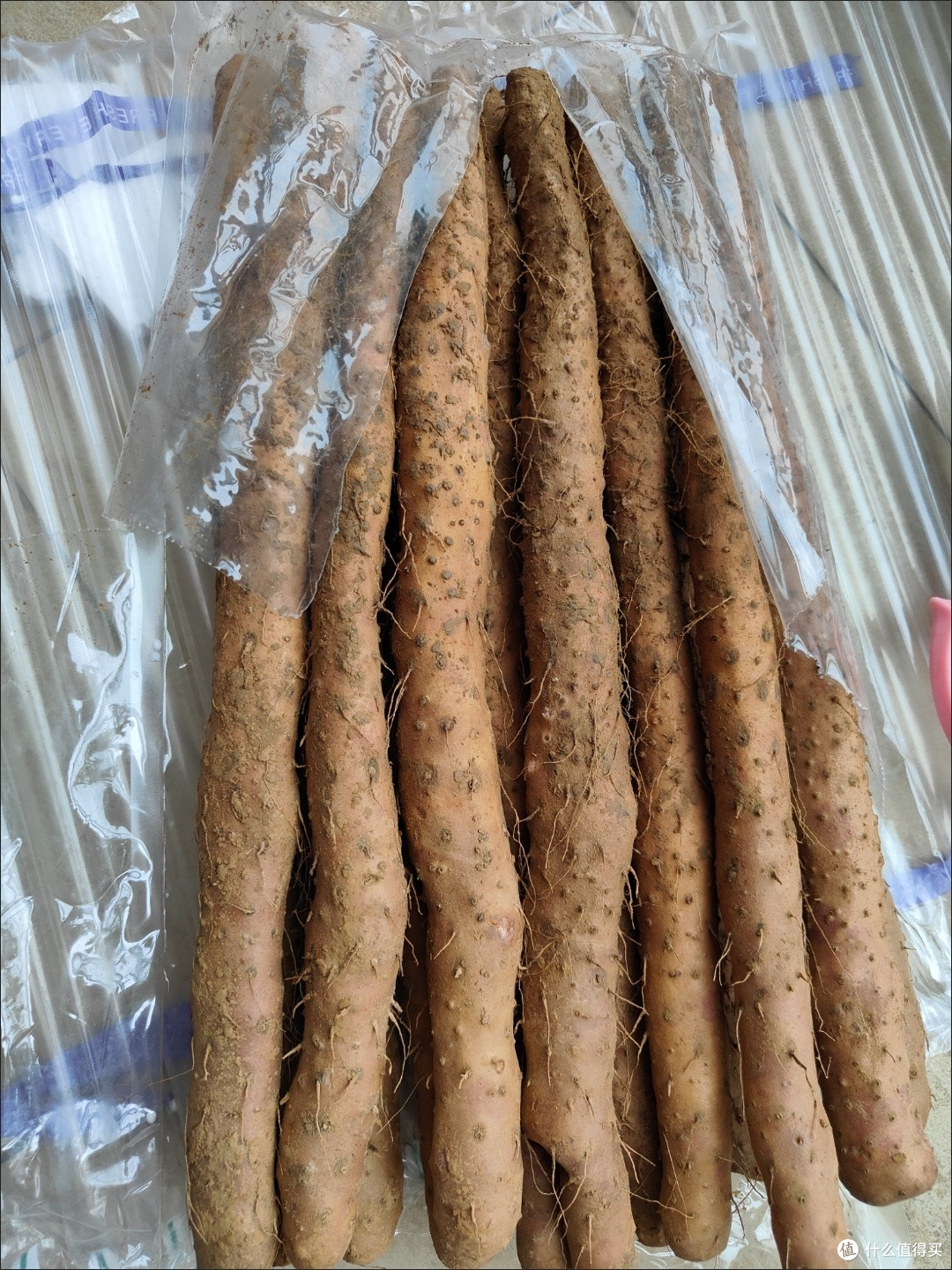 铁棍山药怎么选