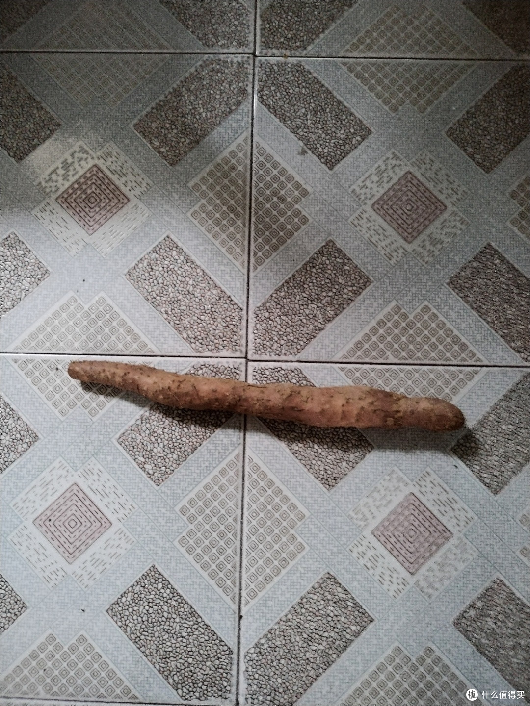 铁棍山药怎么选