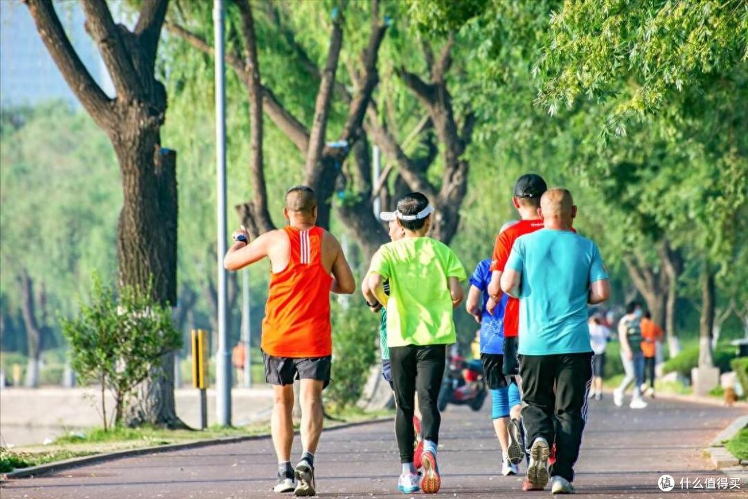 这菜不起眼,实则是宝!5毛钱1斤,人人吃得起,炒鸡蛋特别香