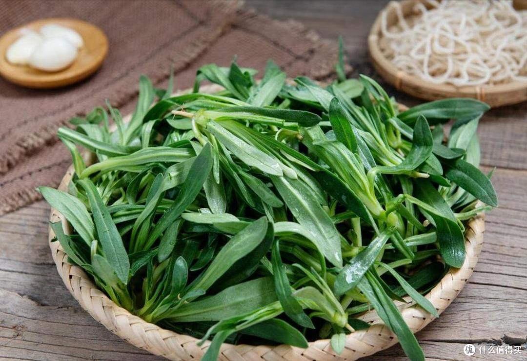春天挖野菜,别再只知道荠菜、香椿了,分享10种常见的野菜图鉴