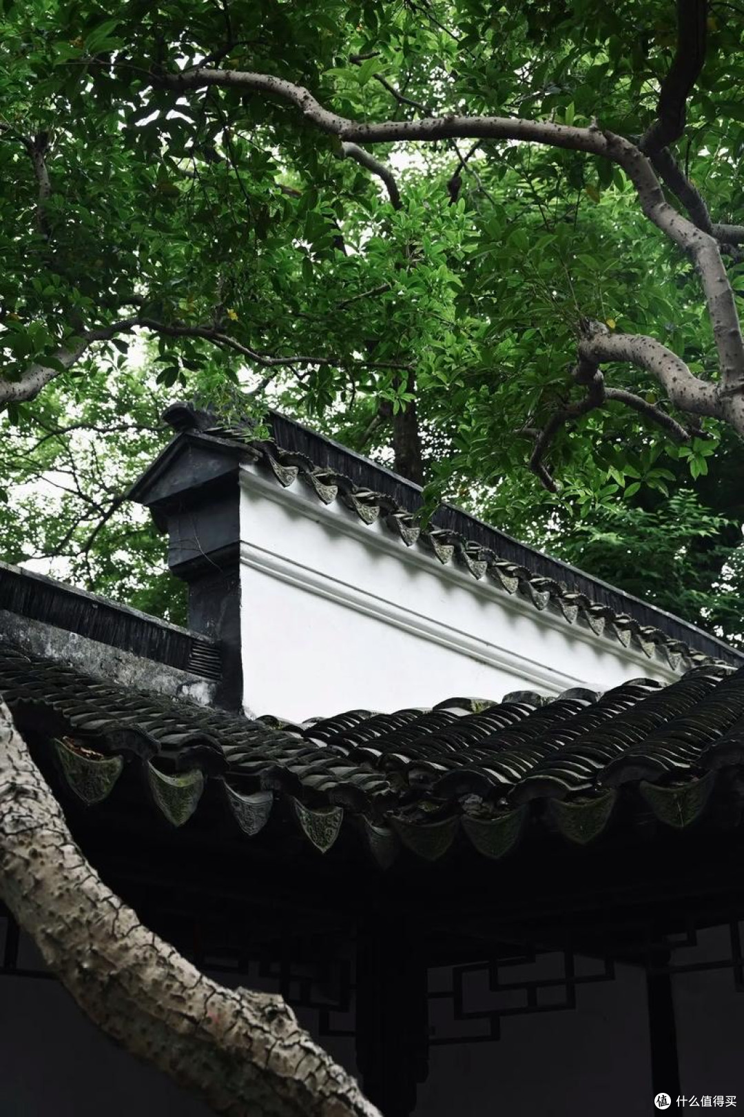 360AI浏览器，智能助手的秘密武器？