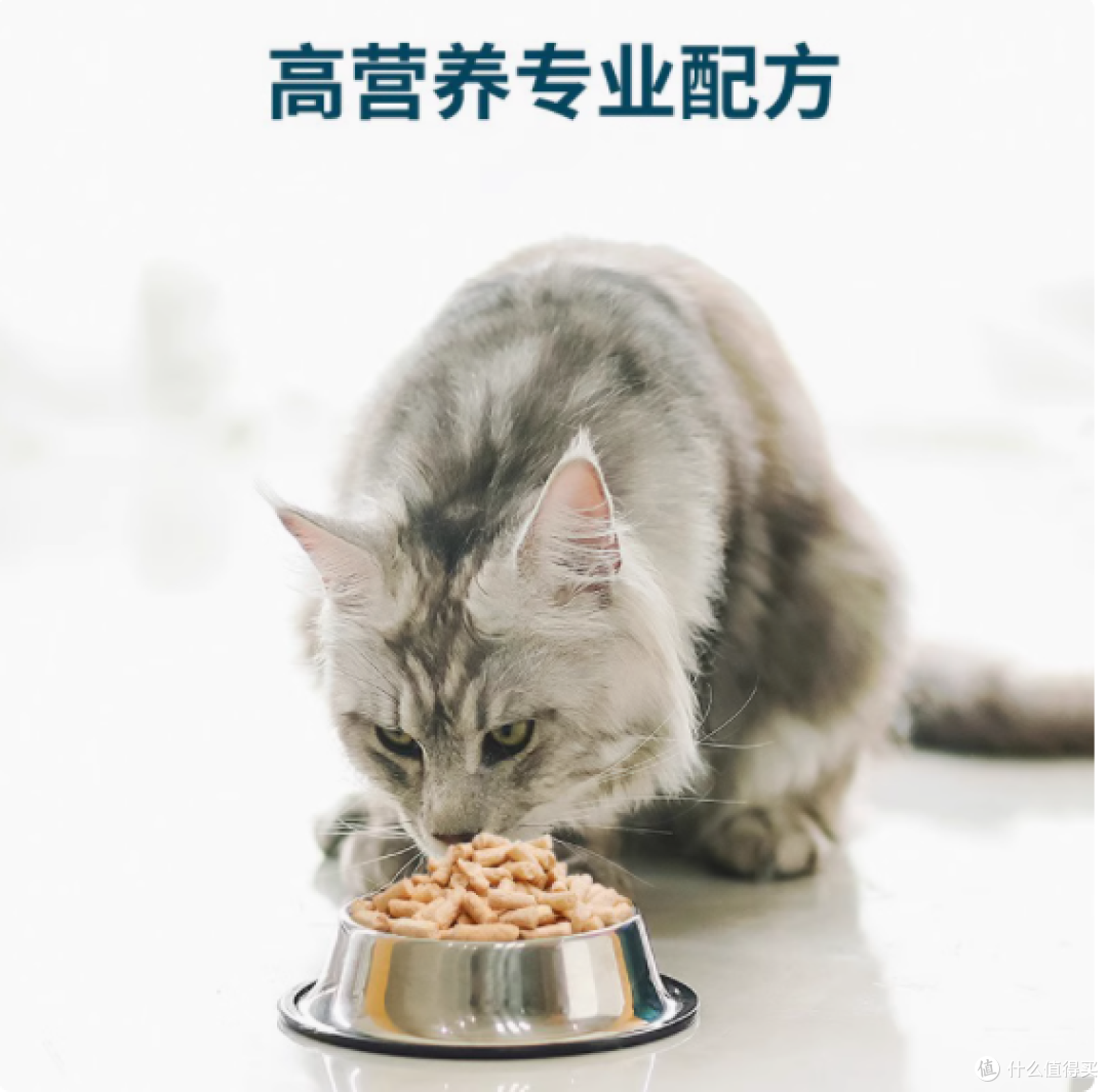 鲜朗无谷主食冻干生骨肉全价猫粮:猫咪的健康美味之选
