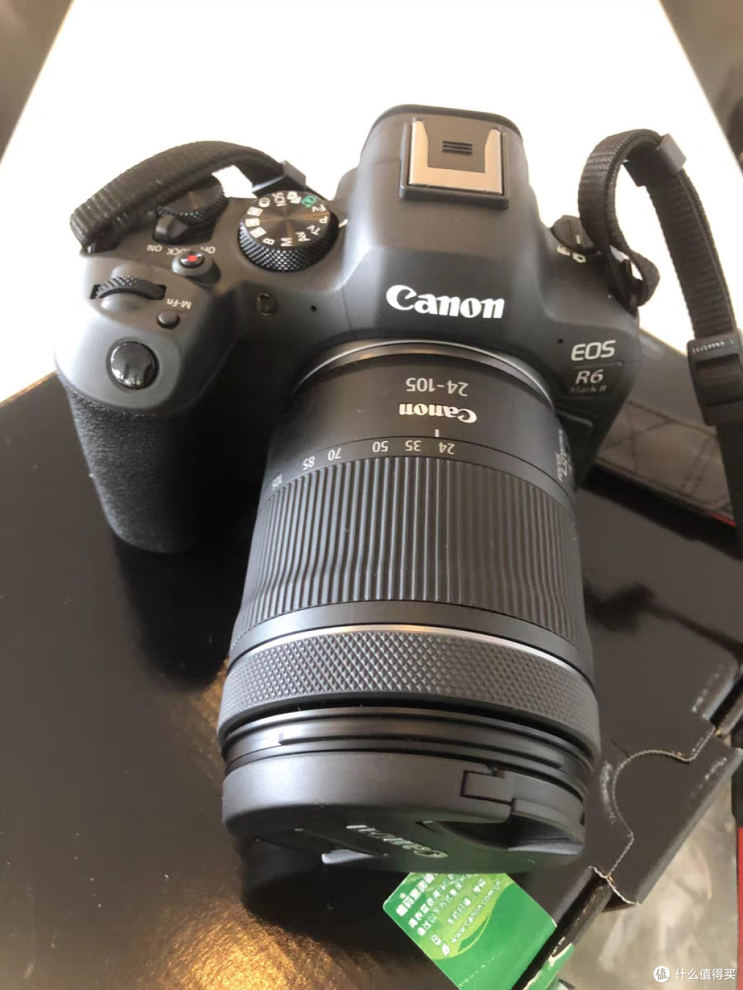 佳能EOS R6 Mark II：记录大男孩的快乐瞬间
