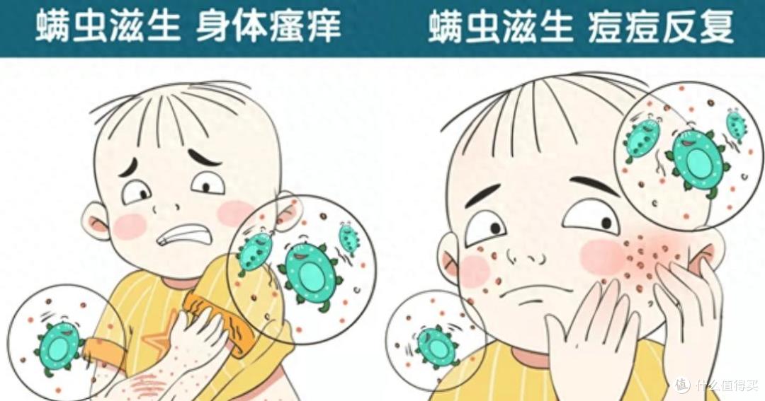 除螨仪是真有用还是智商税?专业博主深度测评希亦RM1除螨仪!