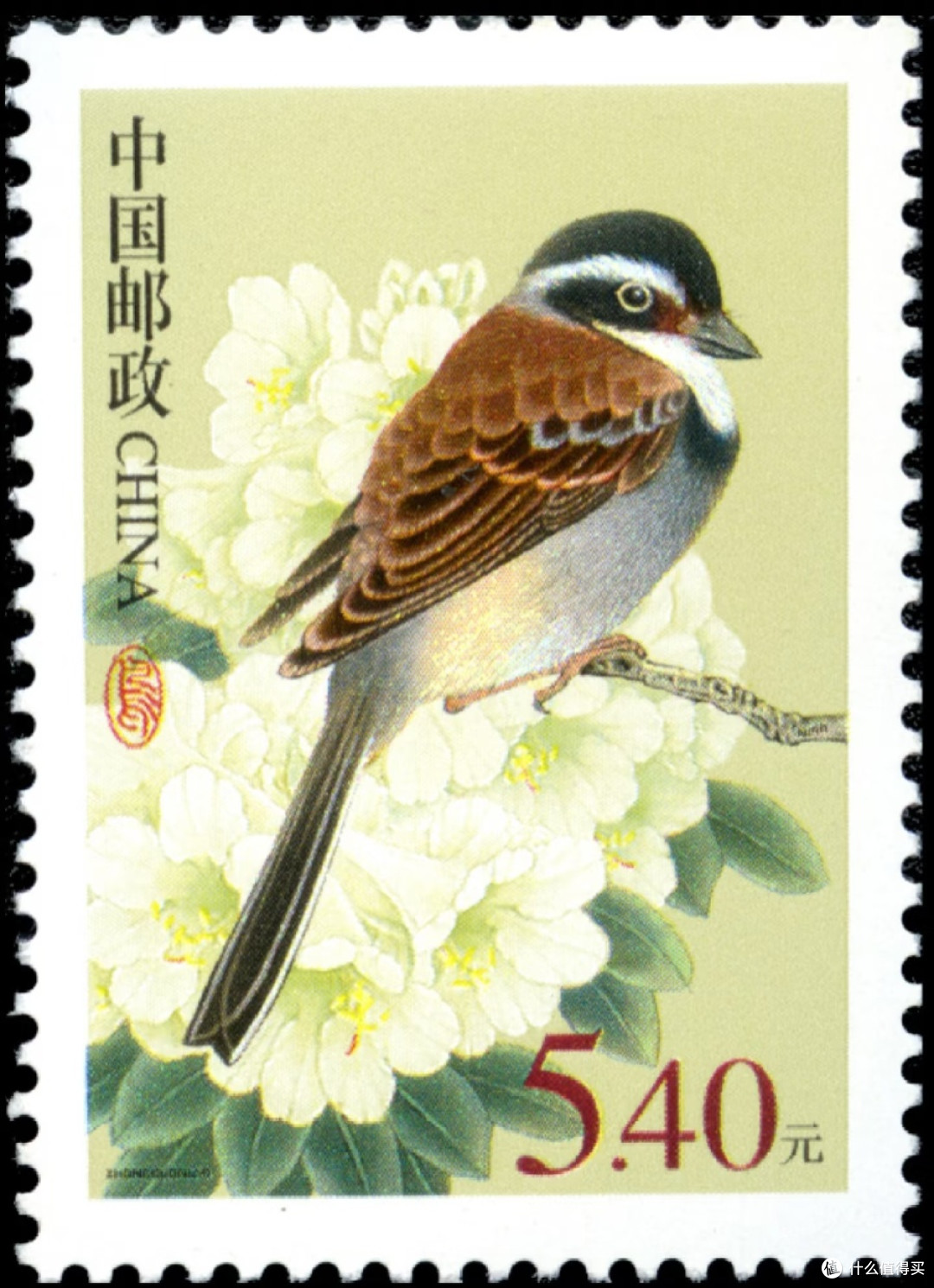 我的珍藏中国鸟邮票