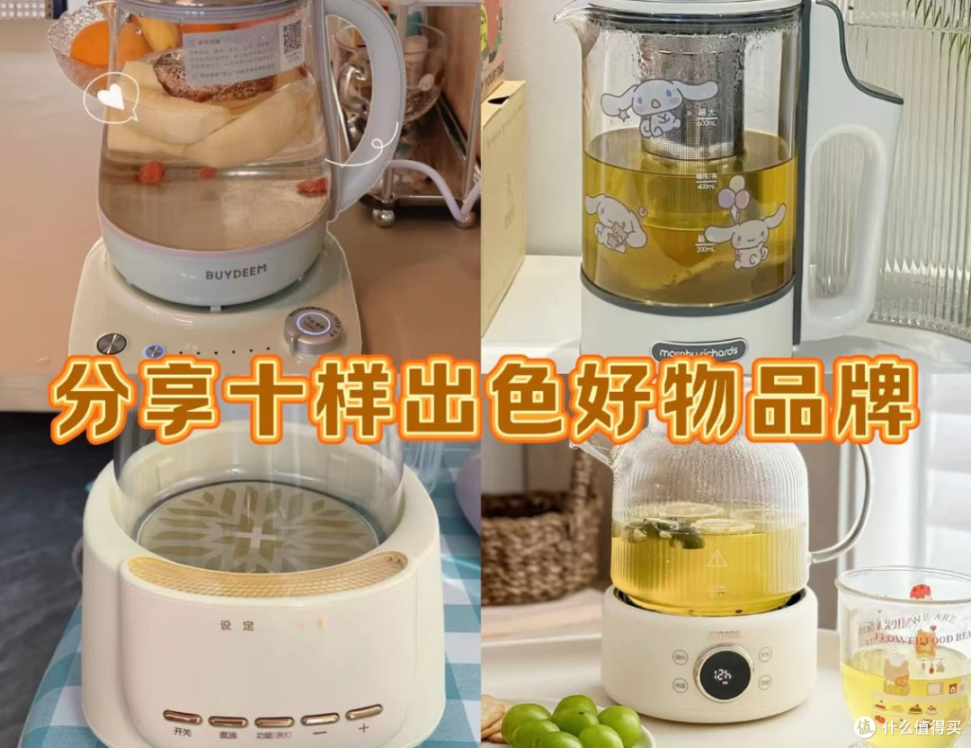 电热水壶哪个品牌好?分享十样出色好物品牌,测评大PK!